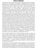 ADN no codificante