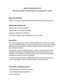 BANCO CORPORATIVO LPQ Plan de Actividades de administración y recuperación de cartera