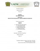 Proyecto BIO PROTECT WORLD