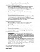 Resumen derecho internacional publico - Rizzo Romano