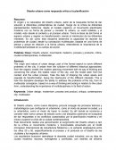 DISEÑO URBANO COMO RESPUESTA CRITICA A LA PLANIFICACIÓN