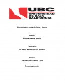 Discapacidad del deporte