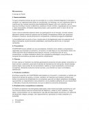 Microentorno: 5 fuerzas de Porter