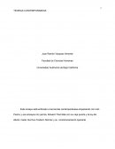 Ensayo teorias de sistemas Skinner