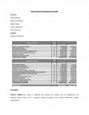 Analisis financiero Salfacorp