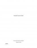 Evaluacion de contextos sociales. Pelicula El lado bueno de las cosas