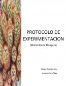 Protocolo experimentacion