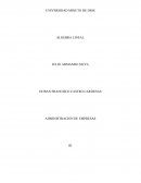 Importancia de los sistemas de ecuaciones lineales