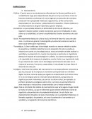 Análisis Externo: Macroentorno