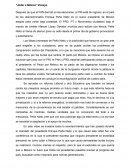 PROBLEMAS POLíTICOS DE MÉXICO