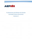 Fundamentos de Software de Gestión Actividad Práctica (Sumativa)