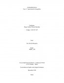 ANTROPOLOGIA Fase 4 - Aproximación etnográfica