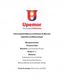 Produccion de celofosporina