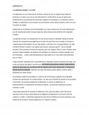 CAPITULO VI LA JUSTICIA SOCIAL Y LA PAZ