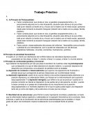 Trabajo Práctico . Principio de Policausalidad