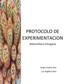 Protocolo experimentacion. Página 1