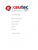 Mercadotecnia tiendas Electra