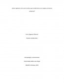 Problema ético en la ingeniería civil