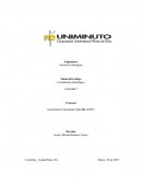 Formulación Estratégica