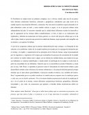 SINERGIA ENTRE EL PLAN Y EL PROYECTO URBANO