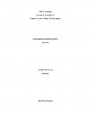 Evidencia 3: Fase I, Análisis DOFA del entorno Actividad de aprendizaje 19