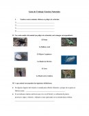 Guía de Ciencias Naturales