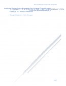 Ensayo El juego perfecto