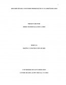 DESCRIPCIÓN DEL CONTENIDO PROBLEMÁTICO Y EL DISEÑO DEL RED