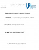 Comportamiento Organizacional y Gestión del Talento Humano