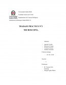 Informe lab 2 microscopia biocel