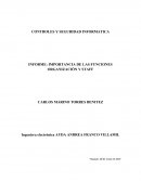 INFORME: IMPORTANCIA DE LAS FUNCIONES ORGANIZACIÓN Y STAFF