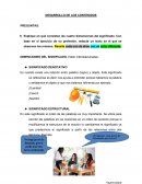 DIMENCIONES DEL SIGNIFICADO