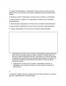 Caso práctico: “EL METROPOLITANO”