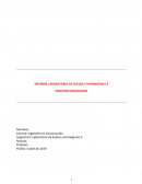 INFORME LABORATORIO DE SUELOS Y HORMIGONES