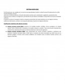 Apunte sistema nervioso para enfermería