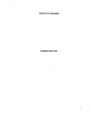 PROYECTO EMPRESA ZUMLIMÓN