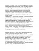 Los lagos en la región urbana