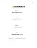 Idea de negocio Comercializadora MT