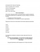 Propuesta Psicopedagógica