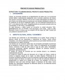 ESTRUCTURA Y ELABORACIÓN DEL PROYECTO SOCIO PRODUCTIVO