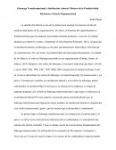 Liderazgo Transformacional y Satisfacción Laboral: Motores de la Productividad, Eficiencia y Eficacia Organizacional