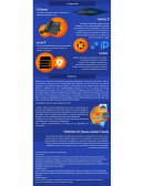 Infografia VoIP