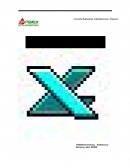 Microsoft Excеl avanzado