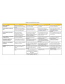 Rúbrica Capacidad Ejecutiva