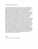 PROBLEMÁTICA DE TRANSMILENIO