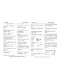 PRACTICA N° 11 BOTÁNICA