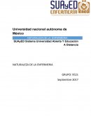 NATURALEZA DE LA ENFERMERIA