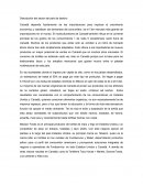 Exportacion de maiz a Canadá