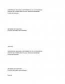 Identificación de la organización La Nueva Policía Nacional