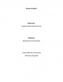 Ensayo sobre ciclos de vida de los sistemas de informacion